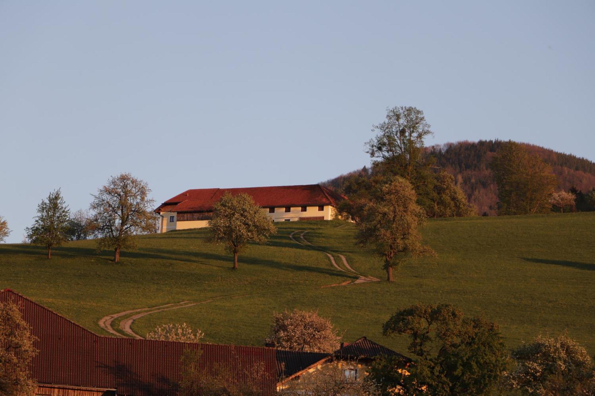 Апартаменти Unterbrandlberg Steinbach an der Steyr Екстер'єр фото