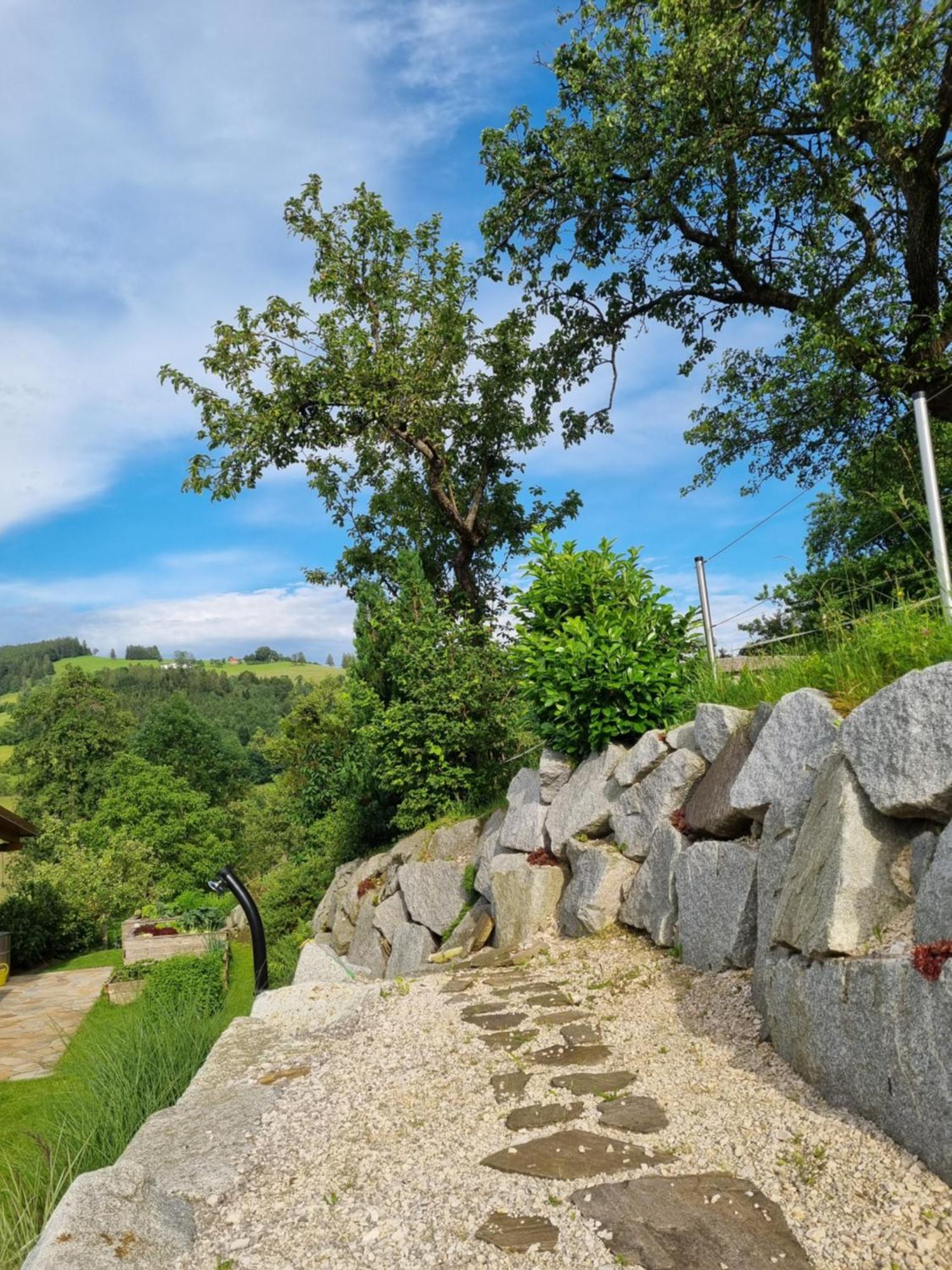 Апартаменти Unterbrandlberg Steinbach an der Steyr Екстер'єр фото
